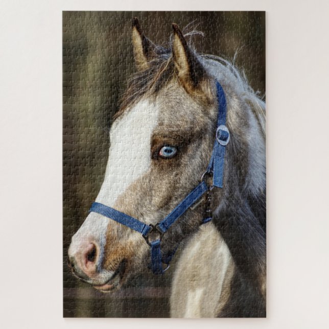 Blaues Mit Augen Fohlen (Vertikal)