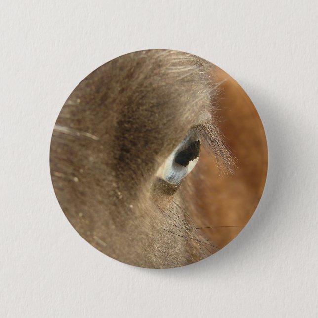 Blaues Mit Augen Pferd Button (Vorderseite)