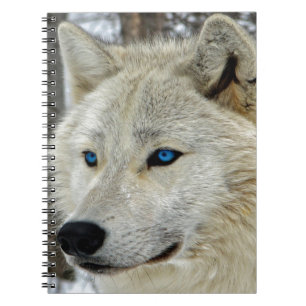 Blaues mit Augen weißer Wolf-Notizbuch Notizblock