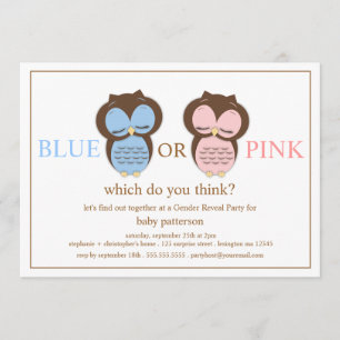 Blaues oder rosa kleine Eulen-Baby-Geschlecht Einladung