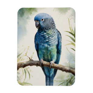 Blaues Parakeet Eukalyptus Tree Flexibel Magnet