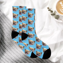 Blaues Personalisiertes Pet-Foto