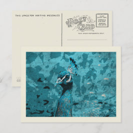 Blaues Pfauenportrait, Pfau männlich Postkarte