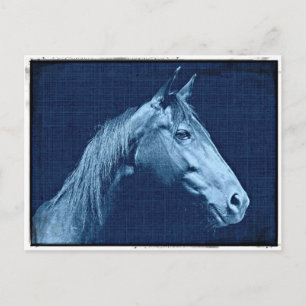 Blaues Pferd Postkarte