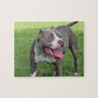 BLAUES PITBULL PUZZLESPIEL