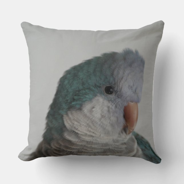 Blaues Quäker-Papageien-Kissen Kissen (Vorderseite)