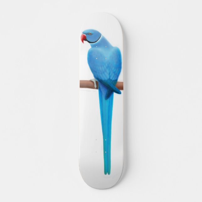 Blaues Ringneck Papageien-Skateboard Skateboard (Vorne)