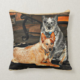 Blaues/rotes Heeler Wurfs-Kissen Kissen