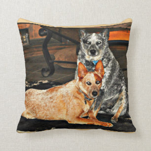 Blaues/rotes Heeler Wurfs-Kissen Kissen