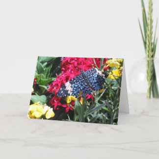 Blaues Schmetterlings-Bild in der Karte