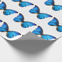 Blaues Schmetterlings-Packpapier