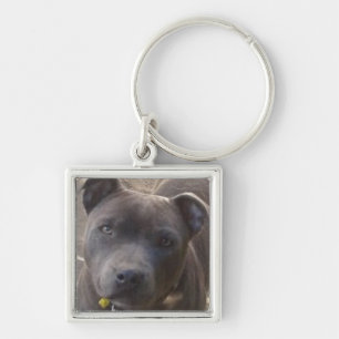 Blaues Staffy Schlüsselanhänger