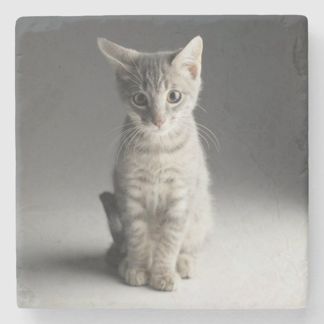 Blaues Tabby-Kätzchen Steinuntersetzer (Vorderseite)