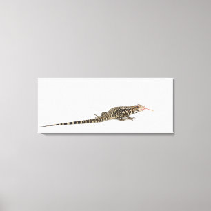 Blaues tegu - Tupinambis merianae Leinwanddruck