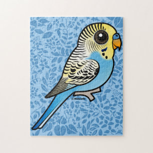 Blaues u. gelbes Budgie