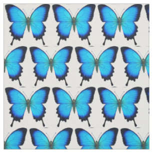 Blaues Ulysses-Frack-Schmetterlings-Gewebe Stoff