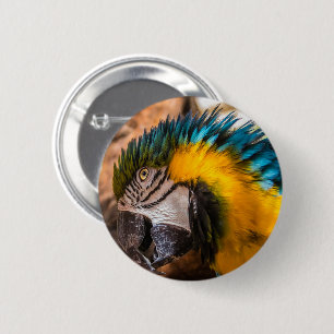 Blaues und gelbes Makaportrait Button