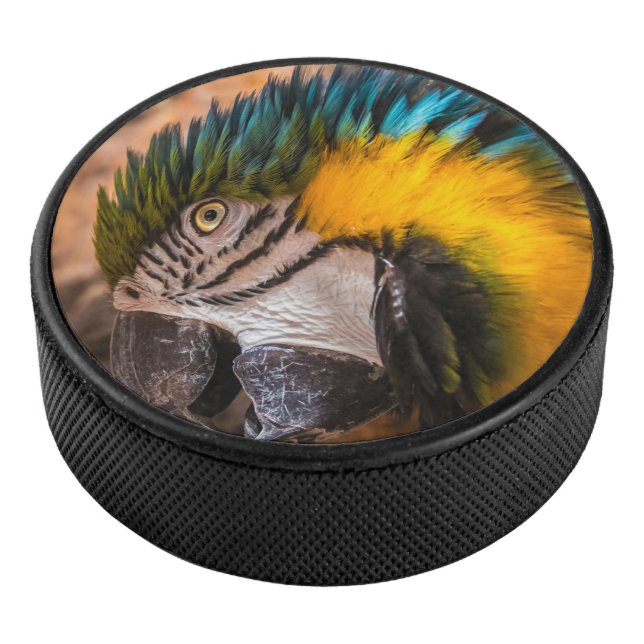 Blaues und gelbes Makaportrait Eishockey Puck (3/4)