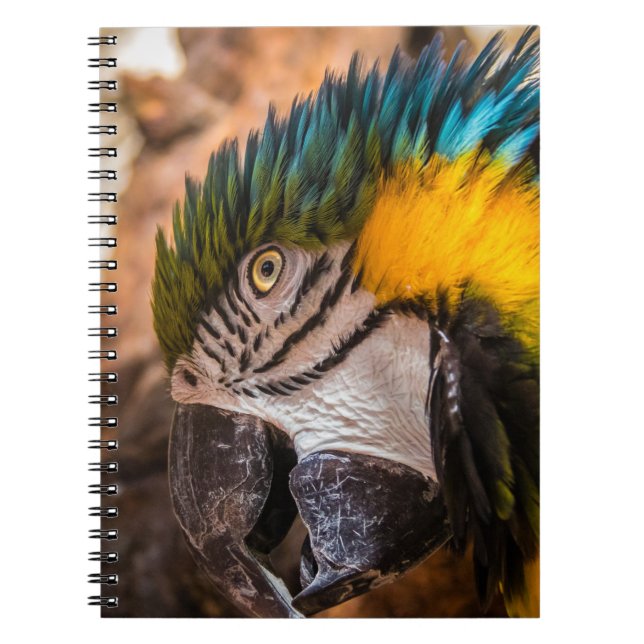 Blaues und gelbes Makaportrait Notizblock (Vorderseite)