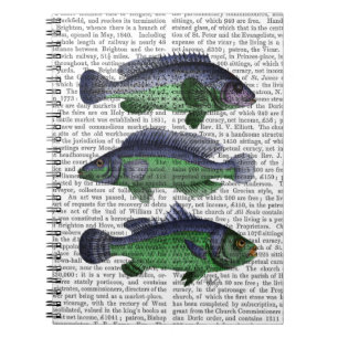 Blaues und grünes Fisch-Trio Notizblock