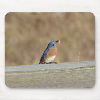 Blaues Vogel-Frühstück Mousepad