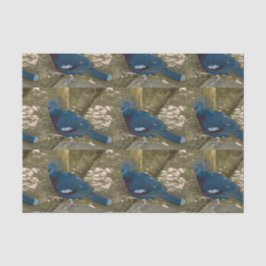 Blaues Vogelgefechtpapier Seidenpapier