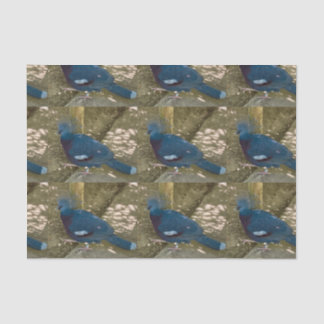 Blaues Vogelgefechtpapier Seidenpapier