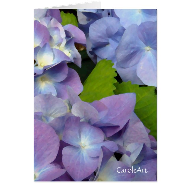 Blaueste blaue Hydrangeas (Vorne)