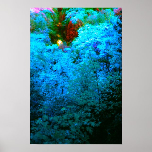 Blaufarbige Herbstblätter Poster (Vorne)