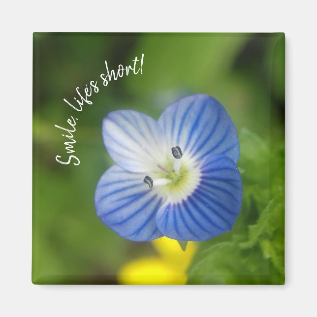 Blaufeder - Magnet (Vorne)