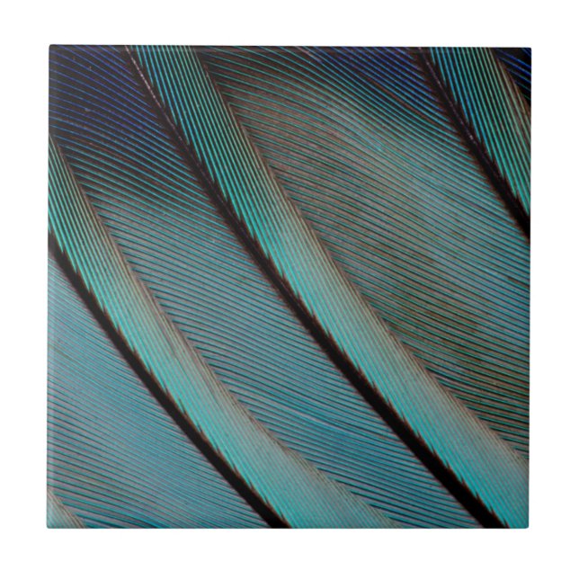 Blaufedermuster Fliese (Vorderseite)