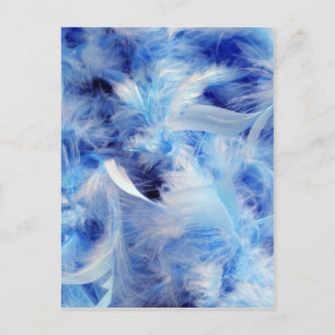Blaufedern Postkarte