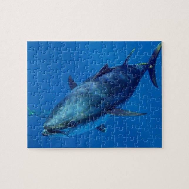 Blauflossenthunfisch-Puzzle (Horizontal)
