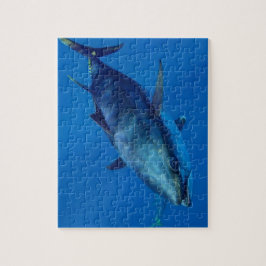 Blauflossenthunfisch-Puzzle