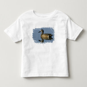 Blauflügelente, Anas discors,männlich, Port Kleinkind T-shirt
