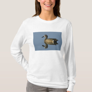 Blauflügelige Aquamarin, Anas-Discors, männlich, P T-Shirt