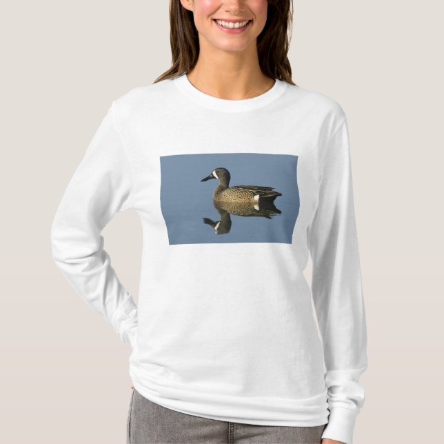 Blauflügelige Aquamarin, Anas-Discors, männlich, P T-Shirt (Vorderseite)