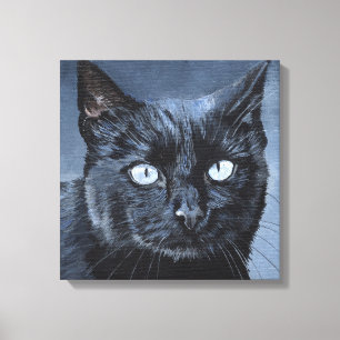 Blaugäugige schwarze Katze auf dunkelblauem Hinter Leinwanddruck