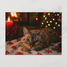 Blaugäugige Weihnachtskatze Postkarte Gemütlicher