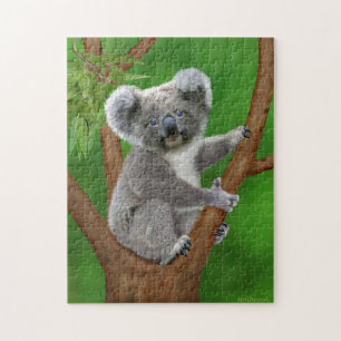 Blaugäugiges Baby Koala Bär