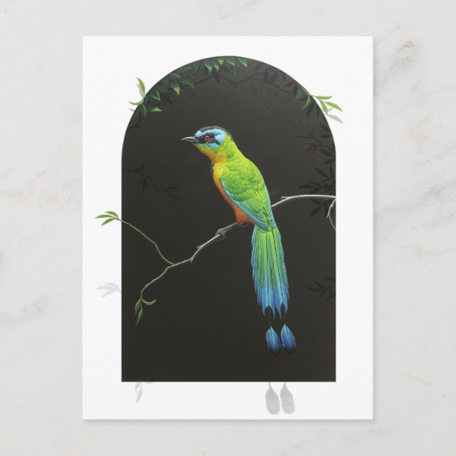 Blaugekronter Motmot Postkarte (Vorderseite)