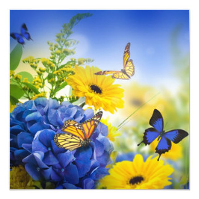Blaugelbe Blumen mit Schmetterlingen Fotodruck (Vorne)