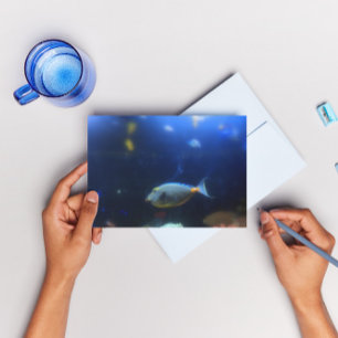 Blaugelbe tropische Fische Postkarte