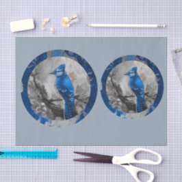 Blaugestalteter Blauhäher DBL Seidenpapier