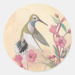 Blaugewurzelter Hummingvogel Runder Aufkleber