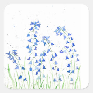Blauglocken blaue Blumen Botanik Quadratischer Aufkleber