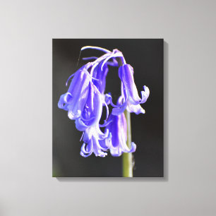 Blauglocken leinwanddruck