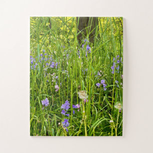 Blauglocken & Löwenzahn in wildem Frühlingsgras