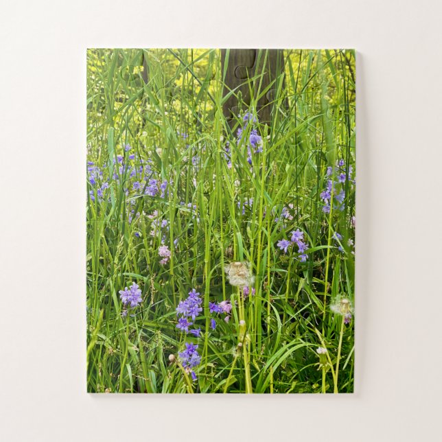 Blauglocken & Löwenzahn in wildem Frühlingsgras (Vertikal)