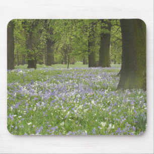 Blauglocken und Eichen im Frühling, Little Hagley Mousepad